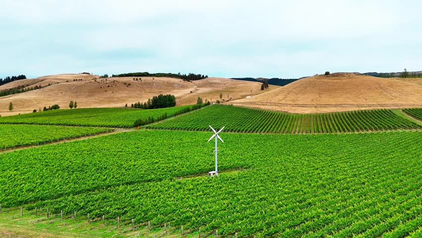 Majestic wind turbines among vineyards and hills. The end of eco-friendly energy. New Zealand