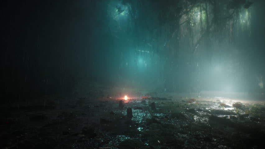 Rain Evening In The Forest