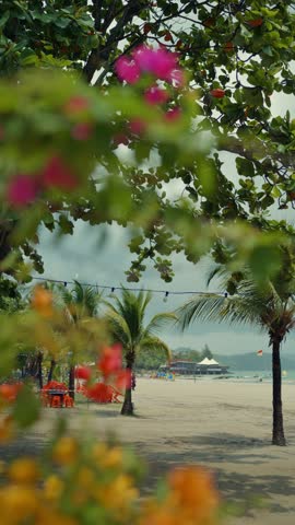 Pan shot of a beautiful landscape of trees with flowers on a tropical beach in Langkawi, Malaysia.