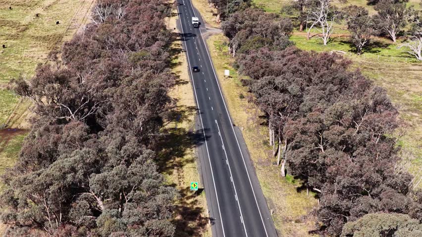 Overhead drone footage tracks vehicles traveling along a two-lane road bordered by eucalyptus trees and grassy fields in bright daylight near Coonabarabran, NSW