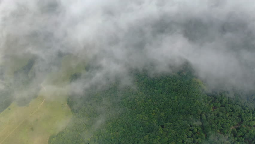 Landscape view of trees and ground partially obscured by fog and cloud cover Aerial view of the forest covered by clouds from high above