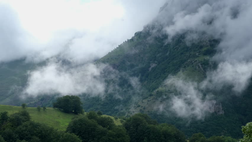 Mountain side covered in clouds The slope is green and full of trees The sky is white from fog A place high in the hills