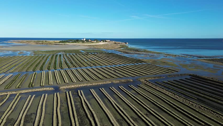 Drone footage captures Tatihou Island bathed in sunlight, surrounded by turquoise waters, with an expansive view of the huge oyster farms lining the shore.