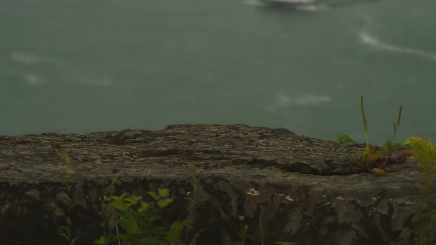 Detailed close-up of a weathered stone ledge with small plants growing, overlooking a blue-green river in the background. Peaceful and natural framing.
