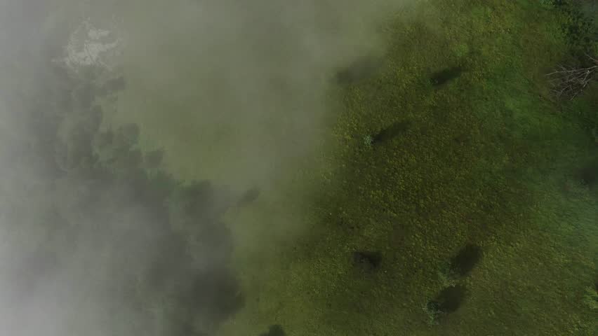 Overhead view of a mountainside covered in a mixture of lush green grass and thick trees with a cloud of mist flowing throughout the mountain