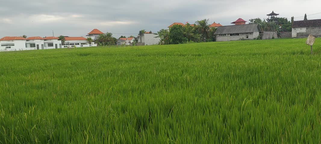 Discover this stunning, perfect for your dream villa. Located amidst lush rice paddies with beautiful views, it's an ideal investment for a peaceful lifestyle.