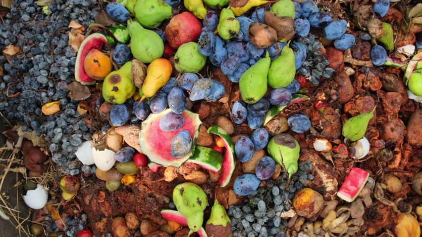 Eco-Friendly Home Garden Composting: Transforming Food Waste and Spoiled Fruits and Vegetables into Nutrient-Rich Soil in a Sustainable Backyard