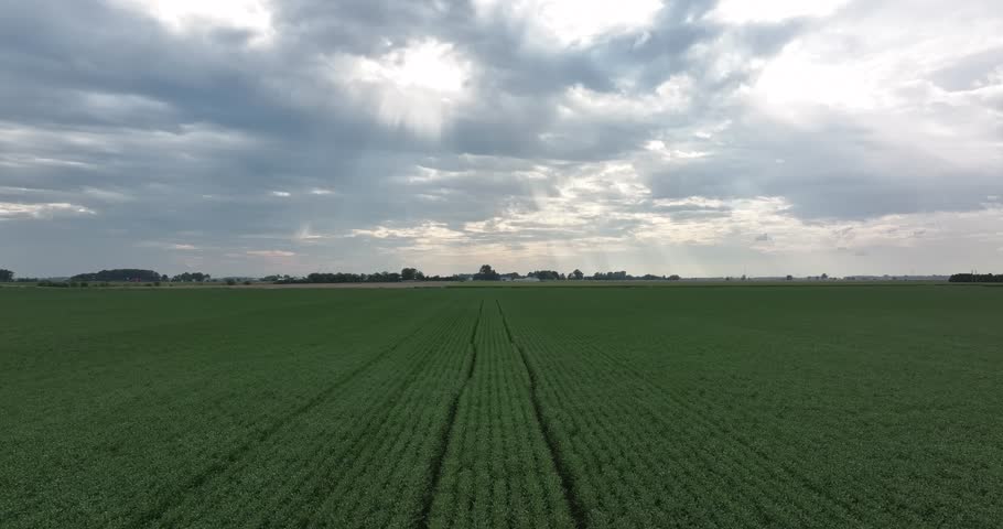 Aerial view of neatly planted crop fields stretching to the horizon under a sky with sun rays piercing through the clouds, Monroeville, Indiana, United States.