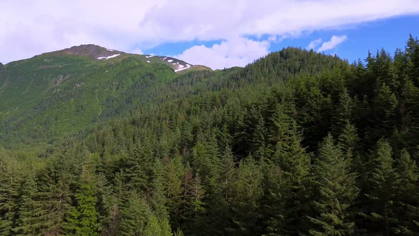 treetop aerial view near juneau ala