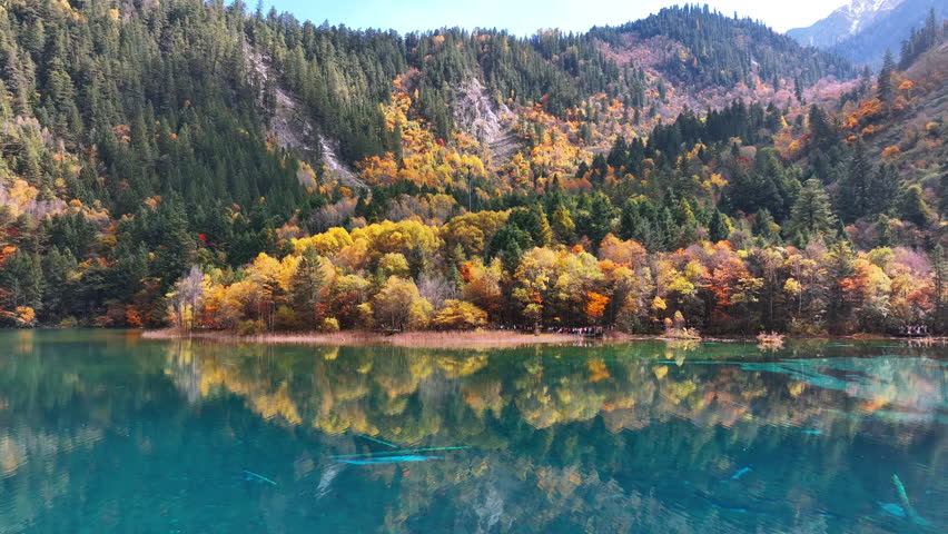 Scenic of Jiuzhaigou national park in autumn, China.
