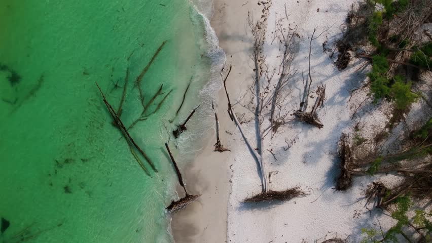 Small waves gently lap the shoreline of Long Boat Key on Florida
