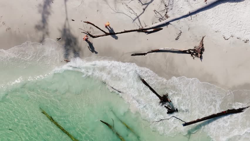 Small waves gently lap the shoreline of Long Boat Key on Florida