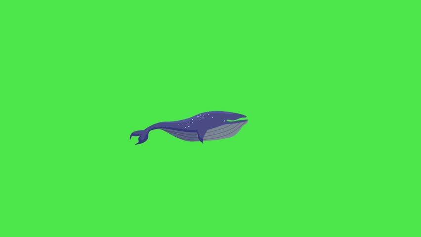 Whale animation swimming green background 