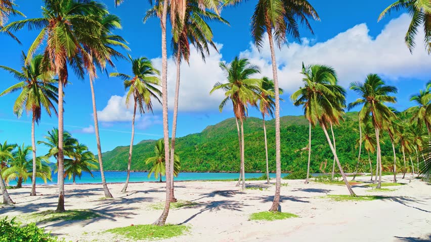 Palm beach with white sand, turquoise ocean water and blue sky with clouds on a sunny day. Wide panoramic background concept. Amazing landscape of paradise island.
