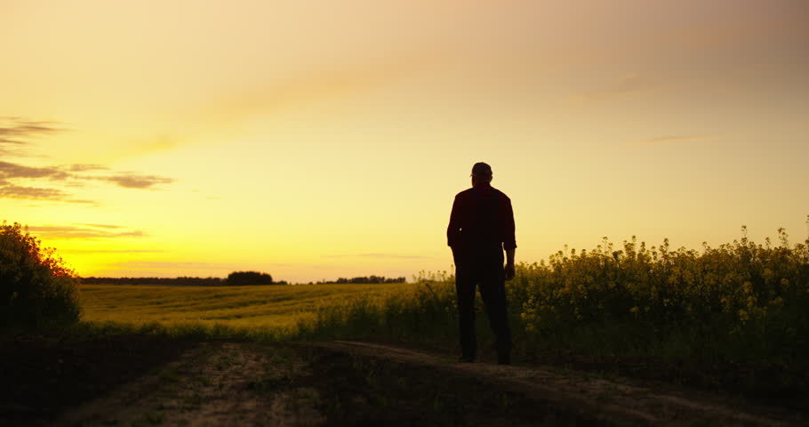 Silhouette Of Farmer In Countryside In Early Morning Or Evening, Back View Of Male Figure On Road