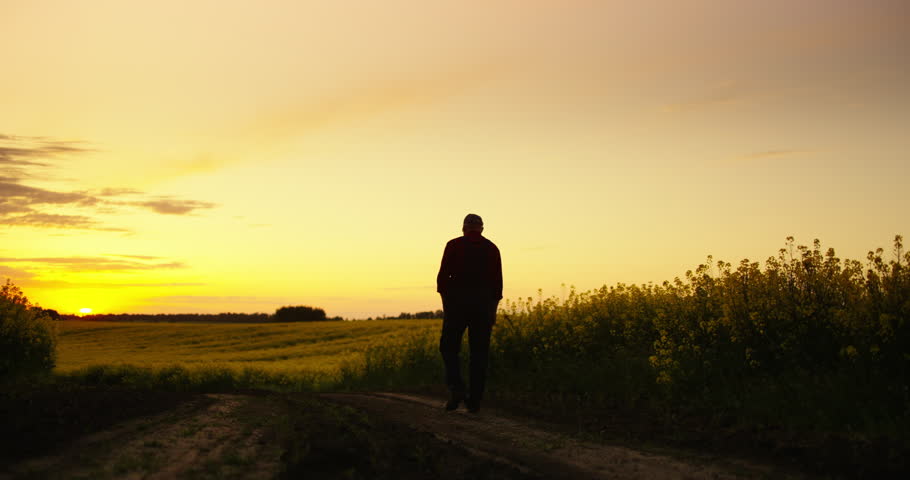 Old Man Looking His Own Way, Silhouette Of Male Person Against Sunset Sky And Agricultural Fields