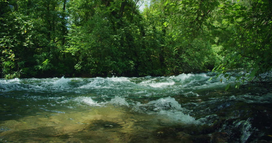 Group of people white water rafting through a lush forest Cetina river in summer Croatia