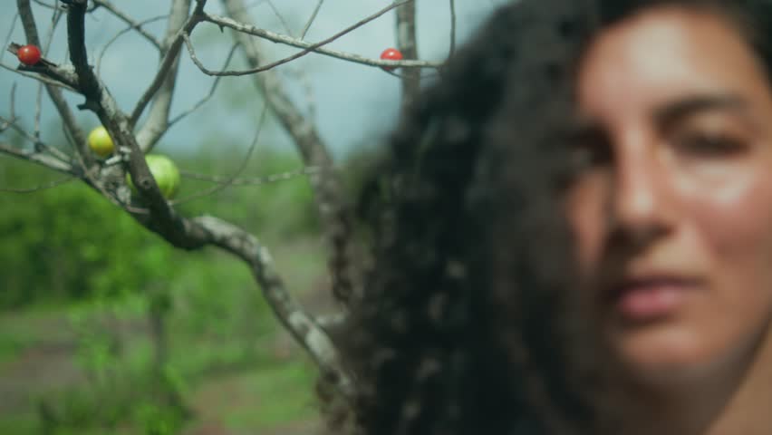 Extreme close-up of half a woman’s face with loose curly hair, with a tree and vegetation in the blurred background.