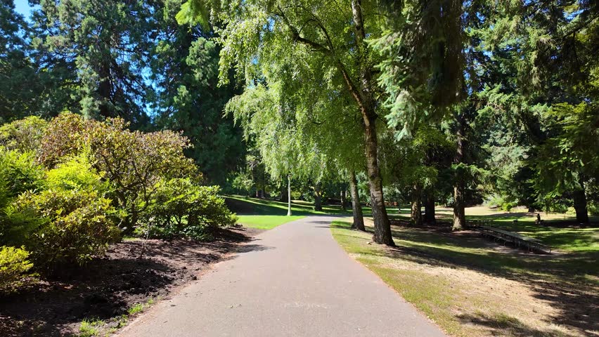 Peaceful nature scenes of Laurelhurst Park in Portland Oregon, USA, with trees, paths, and summer greenery, captured on a pocket camera with gimbal stabilizer for 4K smooth motion footage.