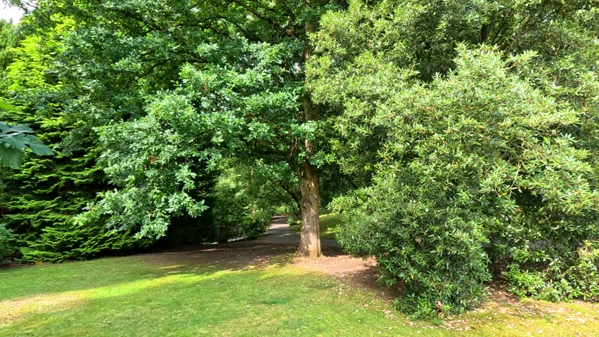 Camera pans right across a sunlit botanical garden, revealing large metallic insect sculptures among lush green trees and manicured lawns under natural daylight