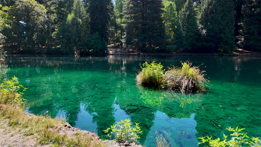 Peaceful nature scenes of Laurelhurst Park in Portland Oregon, USA, with green lake, trees, paths, and summer greenery, captured on a pocket camera with gimbal stabilizer for 4K smooth motion footage.