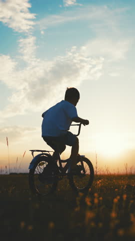 Carefree little boy riding bike in nature in summer vacation, move to dream of life. Unity of person and nature, amazing landscape with blooming field in summer evening, fascinating cloudscape