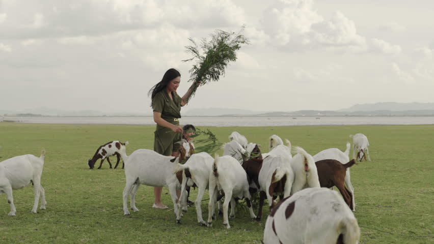 mother with toddler girl feeding a tree branch to the goat on grass field near the river