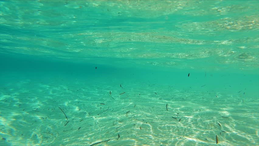 Filming under water in Frenchman Bay, Australia. Showing the turquoise water. 