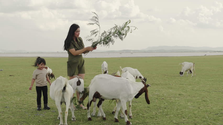 mother with toddler girl feeding a tree branch to the goat on grass field near the river