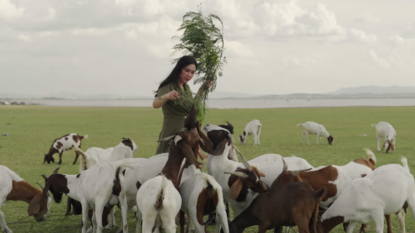 mother with toddler girl feeding a tree branch to the goat on grass field near the river