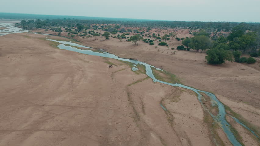 Aerial drone above Runde River Gonarezhou Zimbabwe elephant crossing serene late afternoon part 1