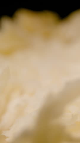 Opened Durian With Thick Yellow Flesh Shown From Above While Camera Slides on Dolly Slider Creating Smooth Motion Tropical Exotic Fruit Concept.