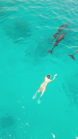 Aerial view of woman swimming with dolphins in turquoise Red Sea lagoon