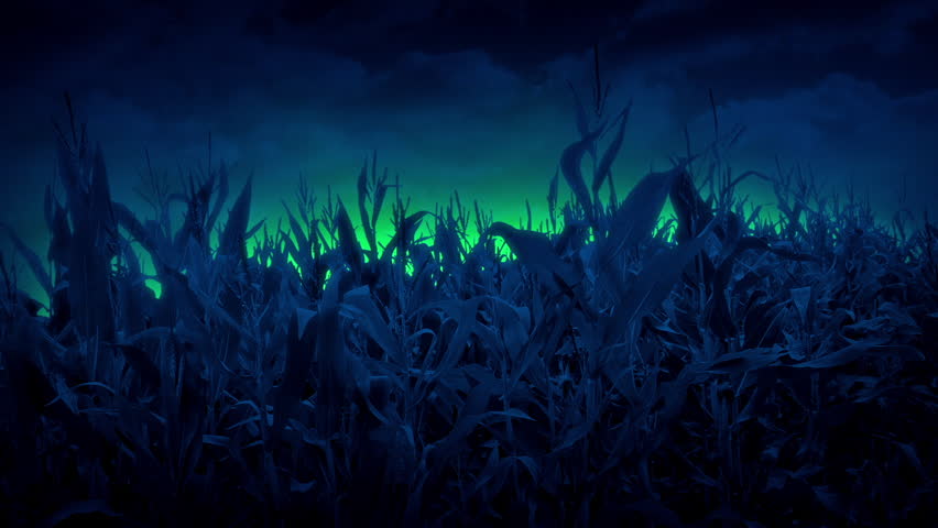 UFO Powers Up In Corn Field At Night