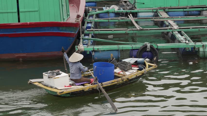 Cat Ba Town , Vietnam - 08 04 2025: Traditional Vietnamese basket boat thung chai bamboo wood woven Cat Ba town port Vietnam