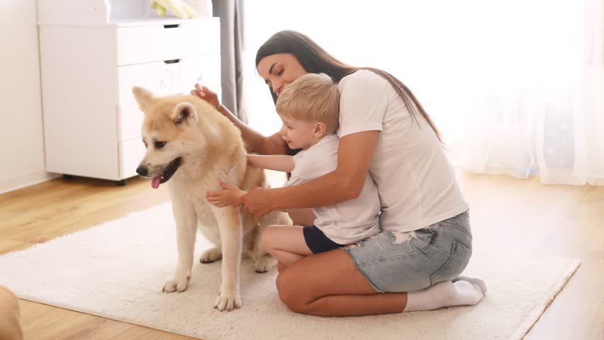 Modern interior, chilling. Mother with son and Shibu Inu dog are at home.