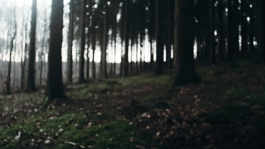 A blurry, atmospheric shot captures a lone figure walking past the camera through a dark, dense forest, where the out-of-focus trees form indistinct vertical lines and the soft foreground hints