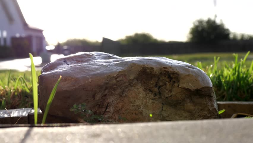 Quick hyper lapse time-lapse of rain hitting a rock with grass, emphasizing motion and splattering rain drop