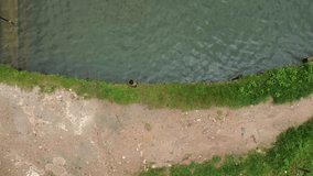 Boy Joyfully Jumping into Pond for a Refreshing Summer Swim - Powered by Shutterstock - Get 15% off with code: PIKWIZARD15