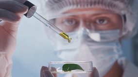 Laboratory researcher wearing protective mask and goggles using dropper to pour oil onto green leaf in petri dish during scientific experiment. Close-up shot - Powered by Shutterstock - Get 15% off with code: PIKWIZARD15