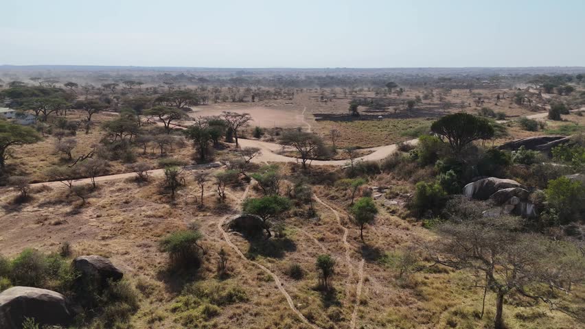 Drone footage of Serengeti National Park in Tanzania