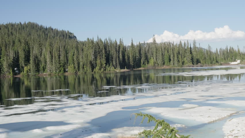 View of a lake with floating ice in the area of Mount Rainier, Washington State, USA