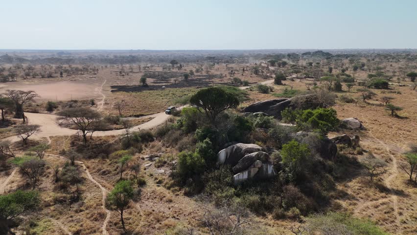 Drone view of Serengeti National Park wilderness in Tanzania