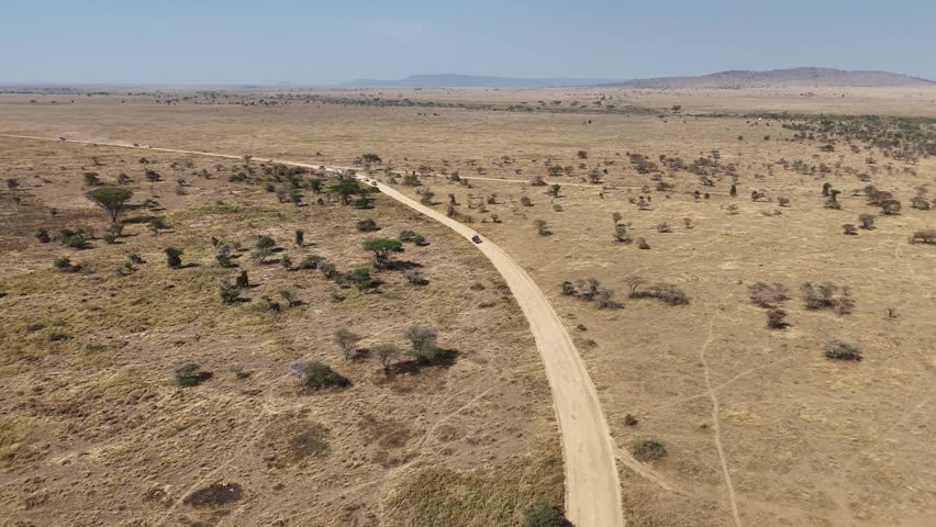 Aerial shot of a road in Serengeti National Park, Tanzania