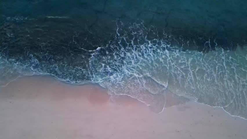 Drone directly above aerial view of a tropical beach