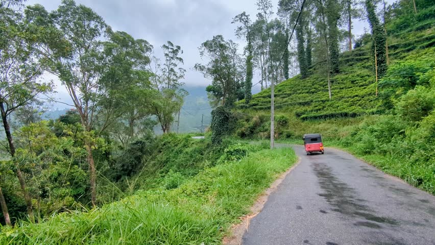 Red tuktuk transport driving on winding road through cultivated tea plantations with sloping terraced landscape in Sri Lanka