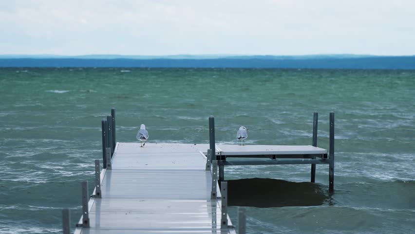 Seagulls standing on a white dock over a lake 