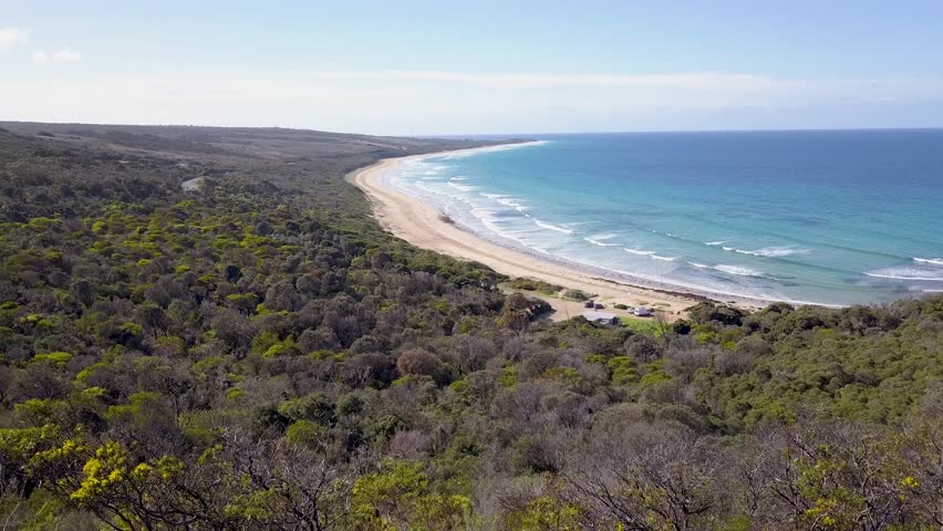 Aerial view of the Great Ocean Road in Victoria, Australia, showcasing dramatic coastal cliffs, turquoise ocean waves, and lush forest along one of the world’s most iconic scenic routes - DLOG FLAT