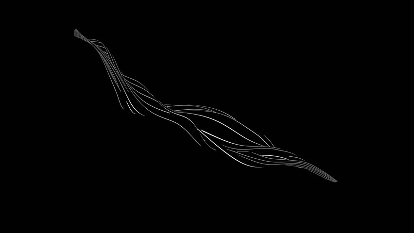 Delicate curved spline animation forming a feather-like structure on a black background. Elegant, minimalist design ideal for tech, fashion, and futuristic branding visuals.