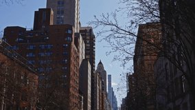 Tree-lined street flanked by mid-century towers leads the eye to a distant spire piercing Manhattan’s skyline under a crisp winter sky. - Powered by Shutterstock - Get 15% off with code: PIKWIZARD15